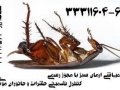 سمپاشی، کنترل و نابودی حشرات خانگی تهران, ﷼ 30,000