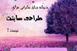 تخفیف عیدانه طراحی سایت رادیس افزار